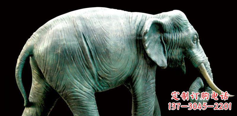厦门铜雕大象——艺术精灵的完美融合