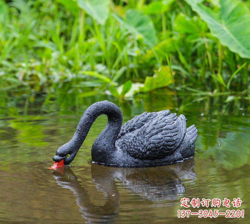 厦门黑天鹅喝水款-池塘水塘装饰动物雕塑摆件