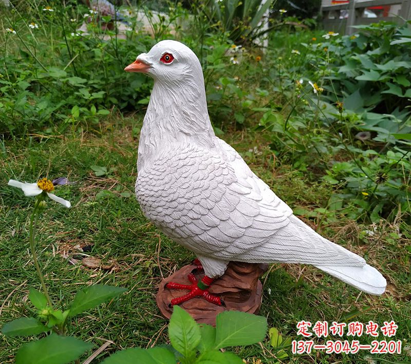 厦门为和平献芳礼：精美少女与和平鸽雕塑