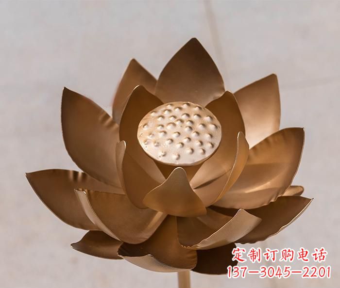 厦门铜雕景观荷花